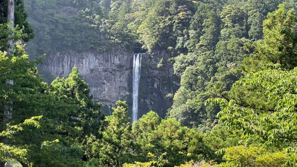 三重塔から見える那智の滝