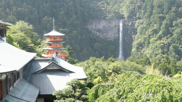 高台から見る那智の滝と三重塔